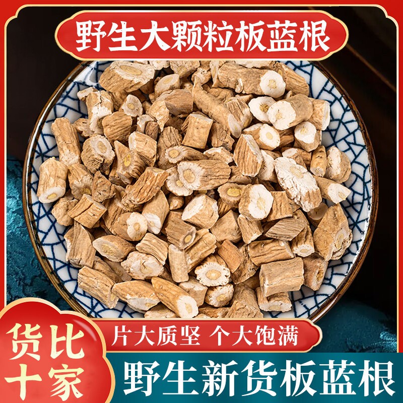 板蓝根中药材500g正品官方旗舰店新货无硫大青叶根切段干板蓝根