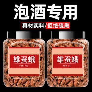 雄蚕蛾500g中药正品散装干蚕蛾公中药材泡酒料非蚕蛾粉野生雄蚕蛾