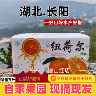 湖北橙子纽荷尔脐橙鲜橙10斤大果甜橙当季新鲜水果手剥橙礼盒包邮