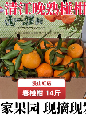 长阳清江椪柑晚熟大果春椪柑现摘芦柑新鲜桔子当季孕妇水果整箱