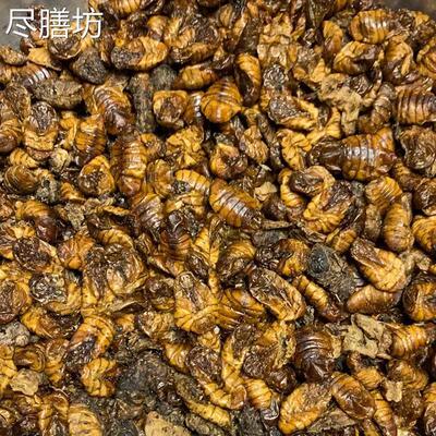 蚕蛹干纯饲料级鱼饵鸟食