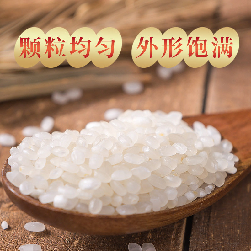 苏通绿禾巴爱碱土软香胚芽米