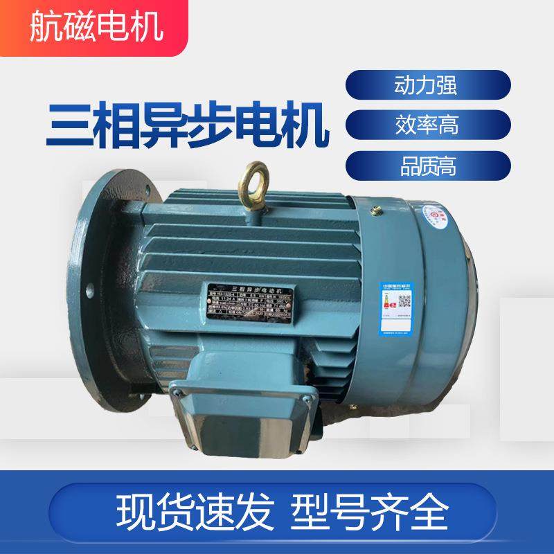 厂家销售90-315机座卧式交流电机3-75w2级电动机YE3三相异步电机