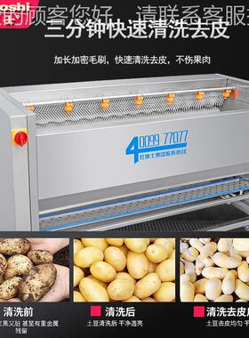 毛豆IBE刷洗机土果蔬药材去皮清清机波浪型尼龙棒洗商用U型机