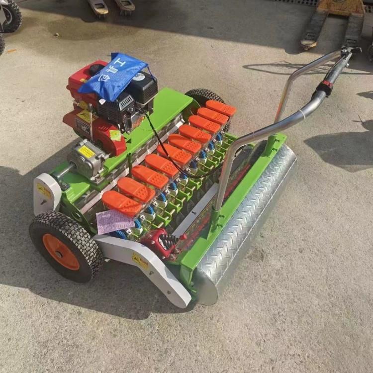 小型农用香菜荠菜点播种植机 6-10行蔬菜精播机 大葱种子点播机