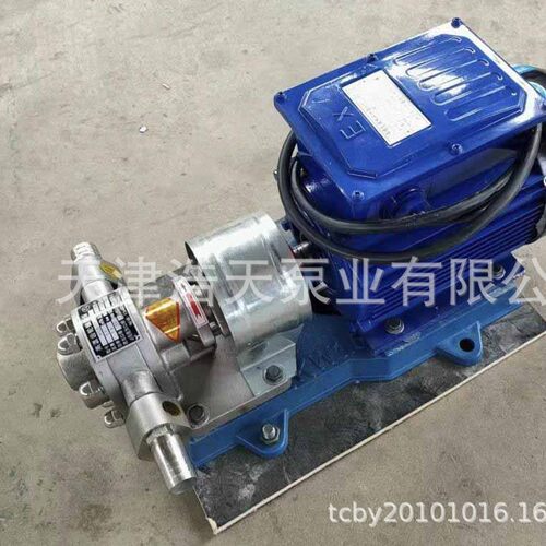 220V防爆不锈钢齿轮泵TDBC 柴油 机油润滑油 沥青稠油 胶水齿轮泵