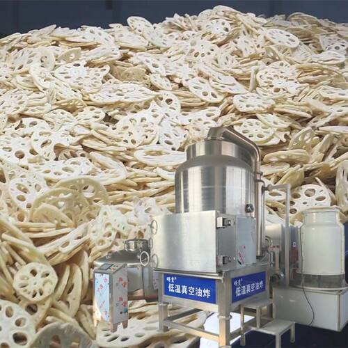 莲藕脆片真空低温油炸机 vf秋葵真空油炸机 西兰花脆果干加工机器