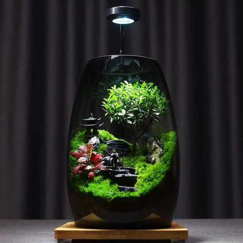 苔藓微景观生态瓶造景植物雨林创意小摆件桌面森林玻璃养鱼生态缸