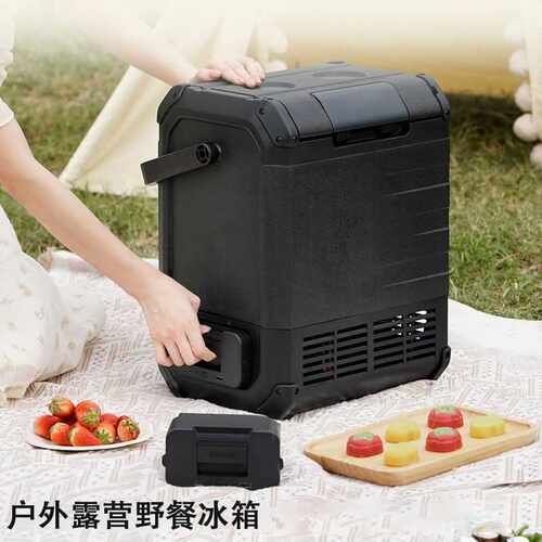 Rxj车载冰箱车家两用压缩机制冷12v24v220v便携户外露营小冰箱10L