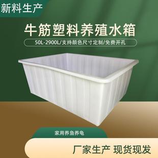 大号加厚塑料水箱长方形储水桶缸胶槽水产养殖家用养龟盆推布牛筋
