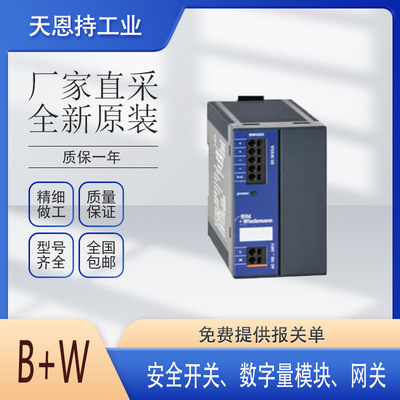 德国 B+W 必威30V 电源 BW1593 全新原装