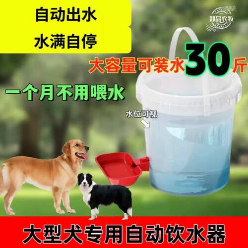 大型犬大容量饮水桶猫咪狗狗过年饮水机中小型犬喝水自动饮水器