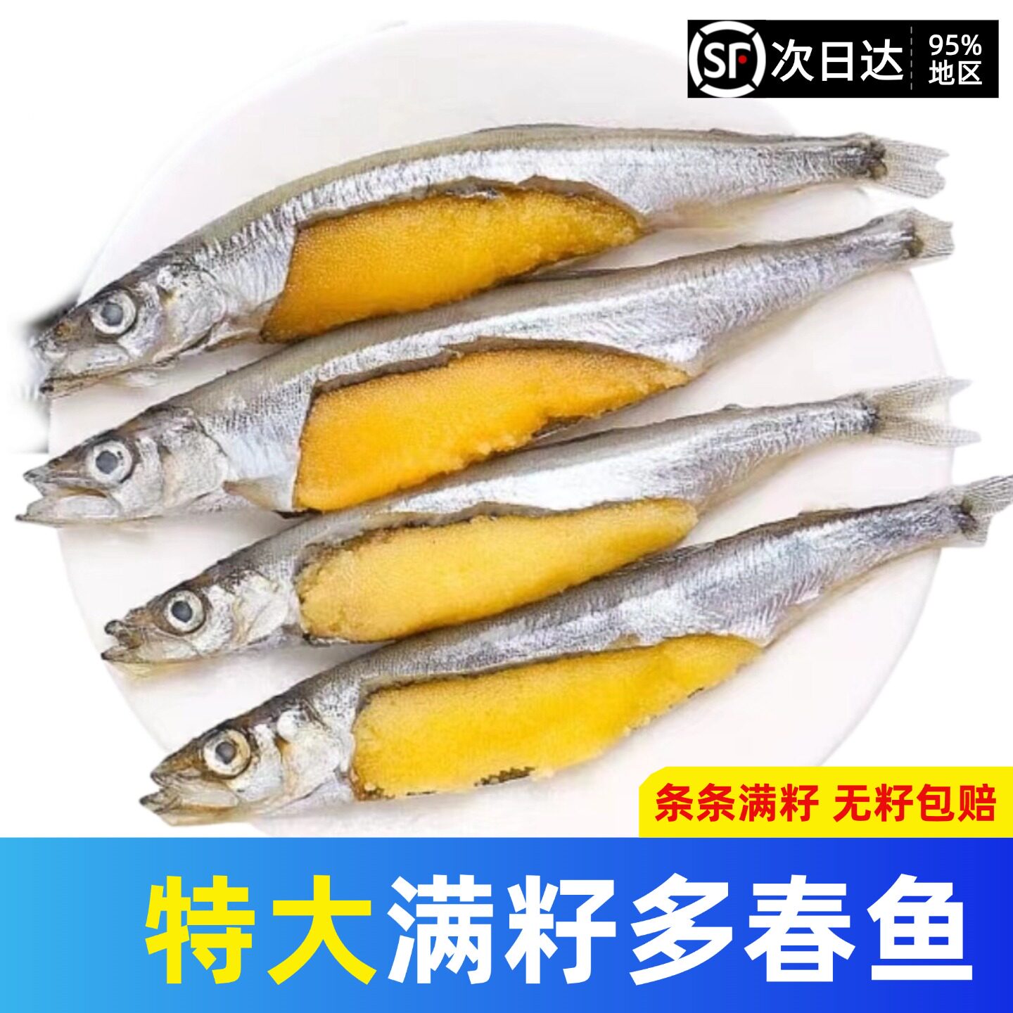 多春鱼满籽特大号无籽包赔新鲜
