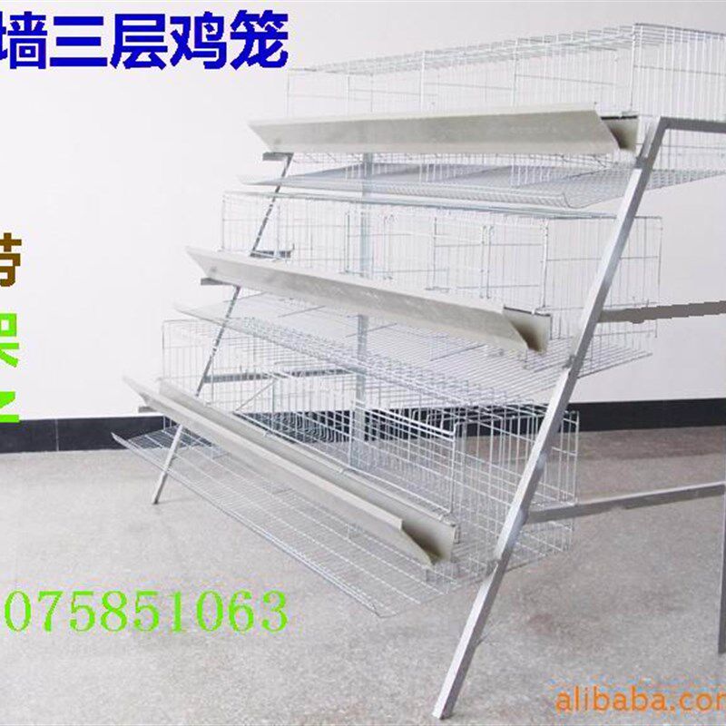 加粗碳钢蛋鸡笼家用三层自动滚蛋鸡笼 养殖用整套单边防逃设计
