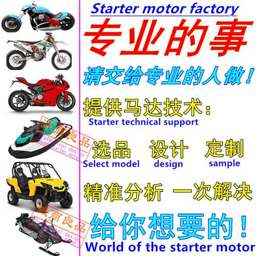适用力帆巡航车V16 LF250-D-H-S-V 250-E 起动机马达 启动电机