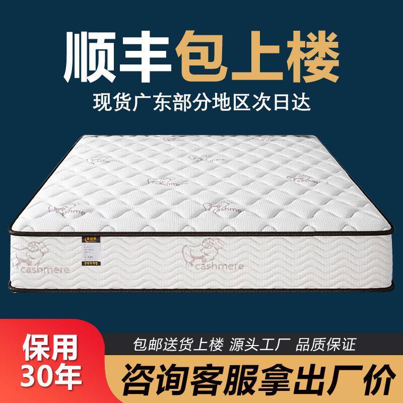 软硬床垫两用双人租房宿舍加厚席梦思经济型乳胶椰棕卧室弹簧床垫