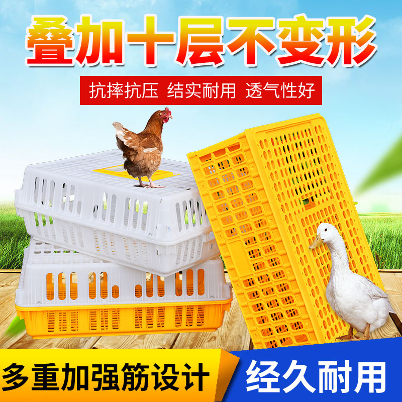 鸡笼周转箱塑料运输笼子成鸡鸭鹅周转筐鸡用运输筐加厚装兔笼鸽笼