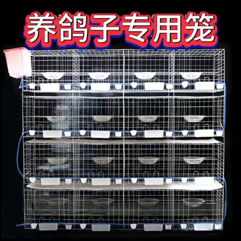 加粗鸽子笼大号特大号元宝鸽子养殖鸽笼专用配对繁殖肉鸽笼