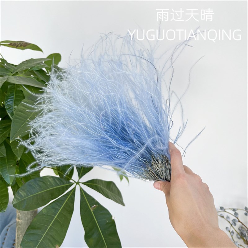 仙气羽毛草梦幻草仙鸟羽保鲜花永生羽毛草干花永生仙草装饰插花
