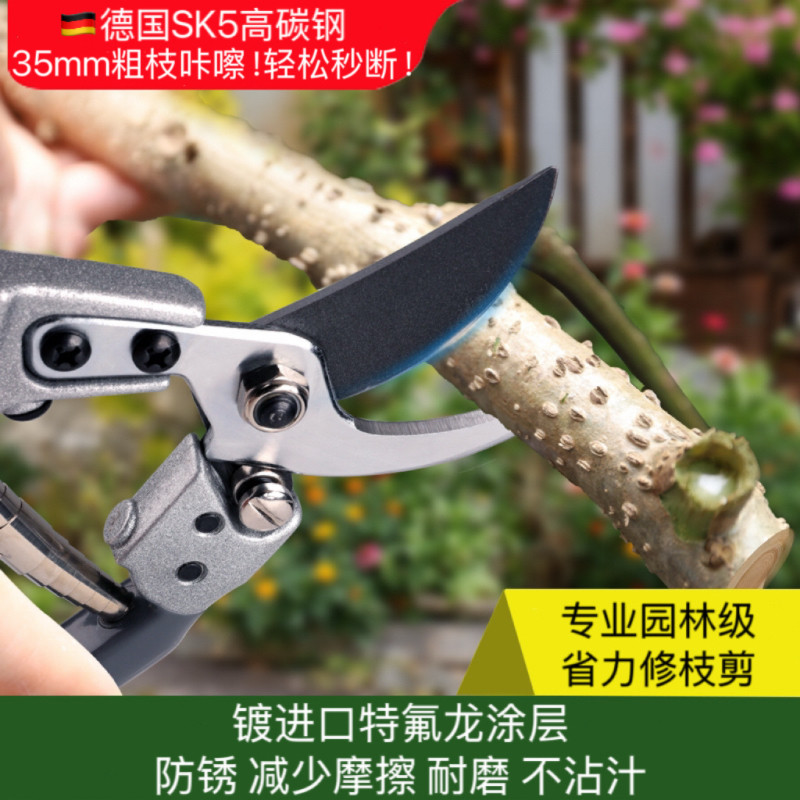 德国sk5高碳钢专业园林省力修枝剪果树树枝园艺花艺盆栽专用剪刀