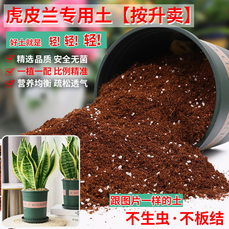 虎皮兰专用土营养土花土通用型家用虎尾兰养花土壤种植土养殖