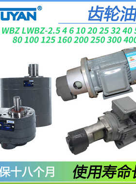 LWBZ200齿轮泵CB-B2.5/4/6/10BM16/20/25/32/40/50/63/80/100/1