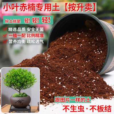 小叶赤楠专用土盆栽种植土酸性土沙性土专用营养土花肥种植有