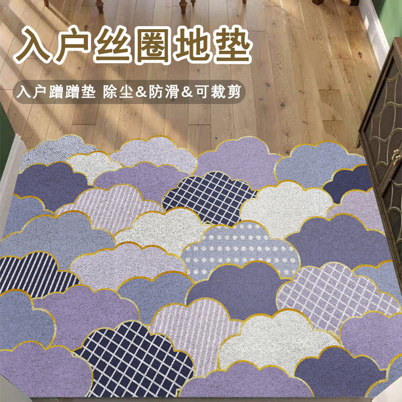入户门丝圈地垫家用门口防滑脚垫门垫进门加厚玄关地毯可裁剪
