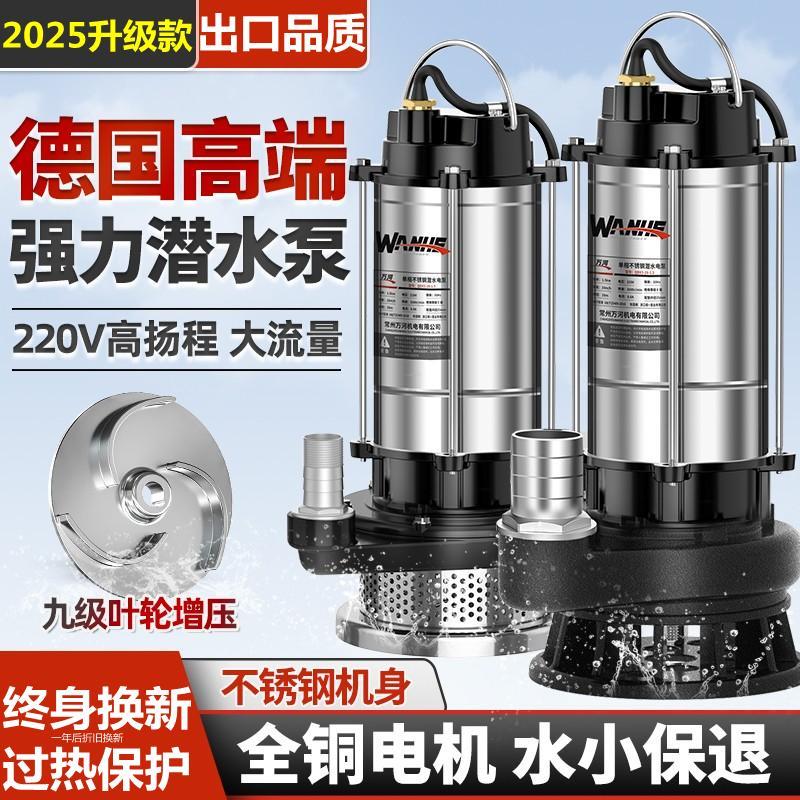水泵小型220v伏家用两相电潜水泵高扬程抽水泵水井一寸棒磅污水泵
