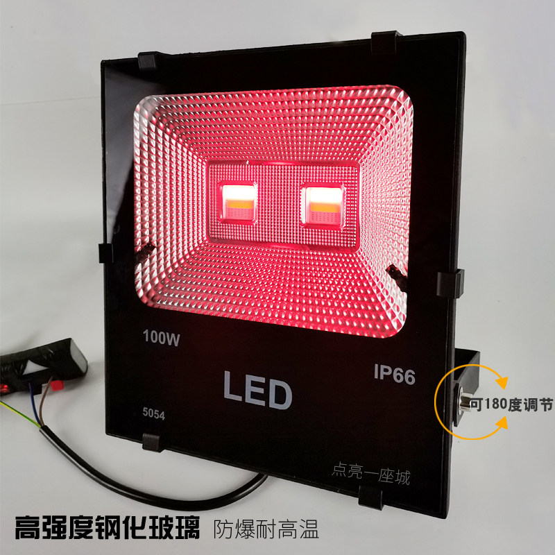 LED彩色投光灯户外防水七彩自动变光园林景观工程射灯庭院照树灯