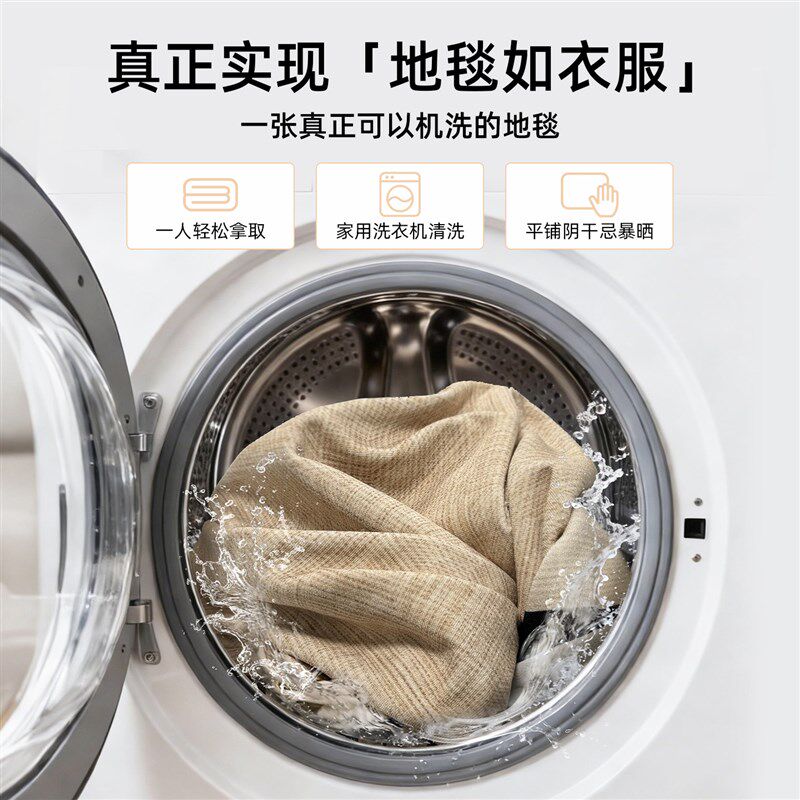 客厅地毯防水防污可机洗隔音垫可拆洗轻奢高级毛绒沙发卧室床边毯