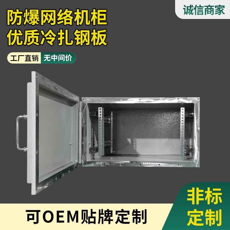 防爆网络机柜防腐配电箱柜碳钢弱电柜不锈钢交换机箱防爆监控柜箱