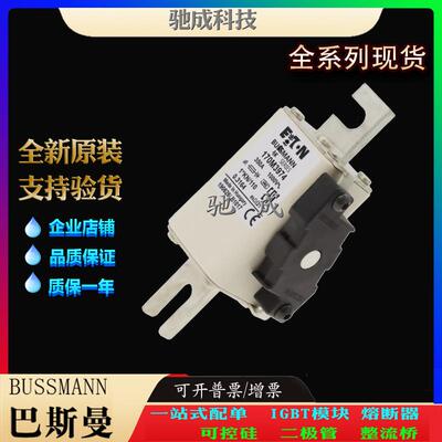 巴斯曼170M3973 170M3974 170M3975 厂价供应销售 快速保险丝