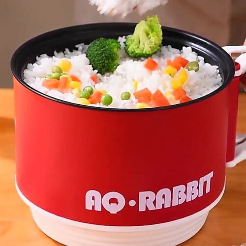 爆款电煮锅家用宿舍学生多功能轻食料理小电锅煮面电火锅电炒锅