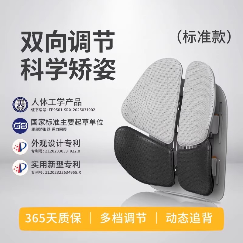 人体工学护腰靠垫办公室久坐