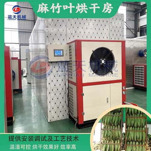 麻竹叶烘干机 智能控温粽子叶烘干房 竹叶大粽叶苇子叶风干机设备