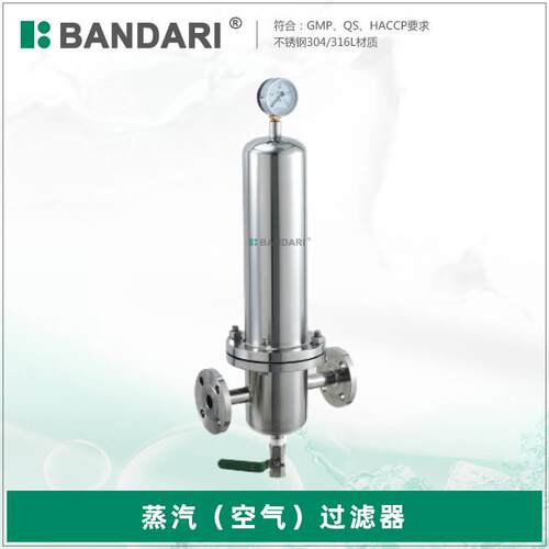 管道蒸汽空气过滤器 卫生级不锈钢针孔式针孔压力过滤器带压力表