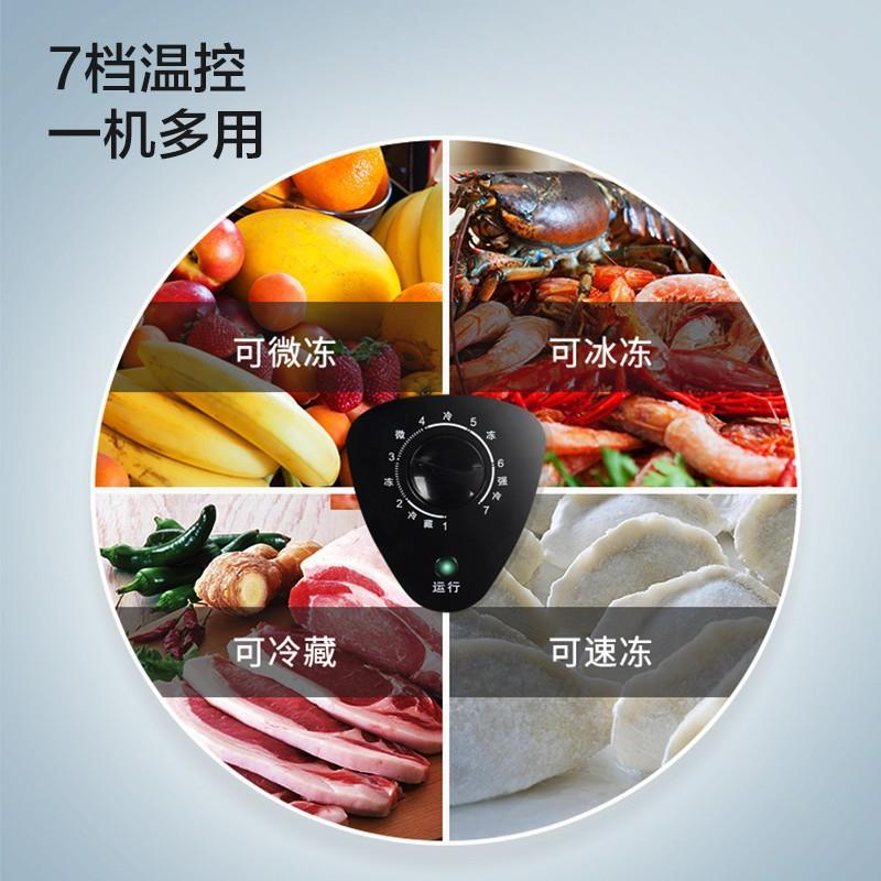 冻货无霜冷柜一级节能小冰柜家用全冷冻小型迷你省电保鲜冷藏冷冻