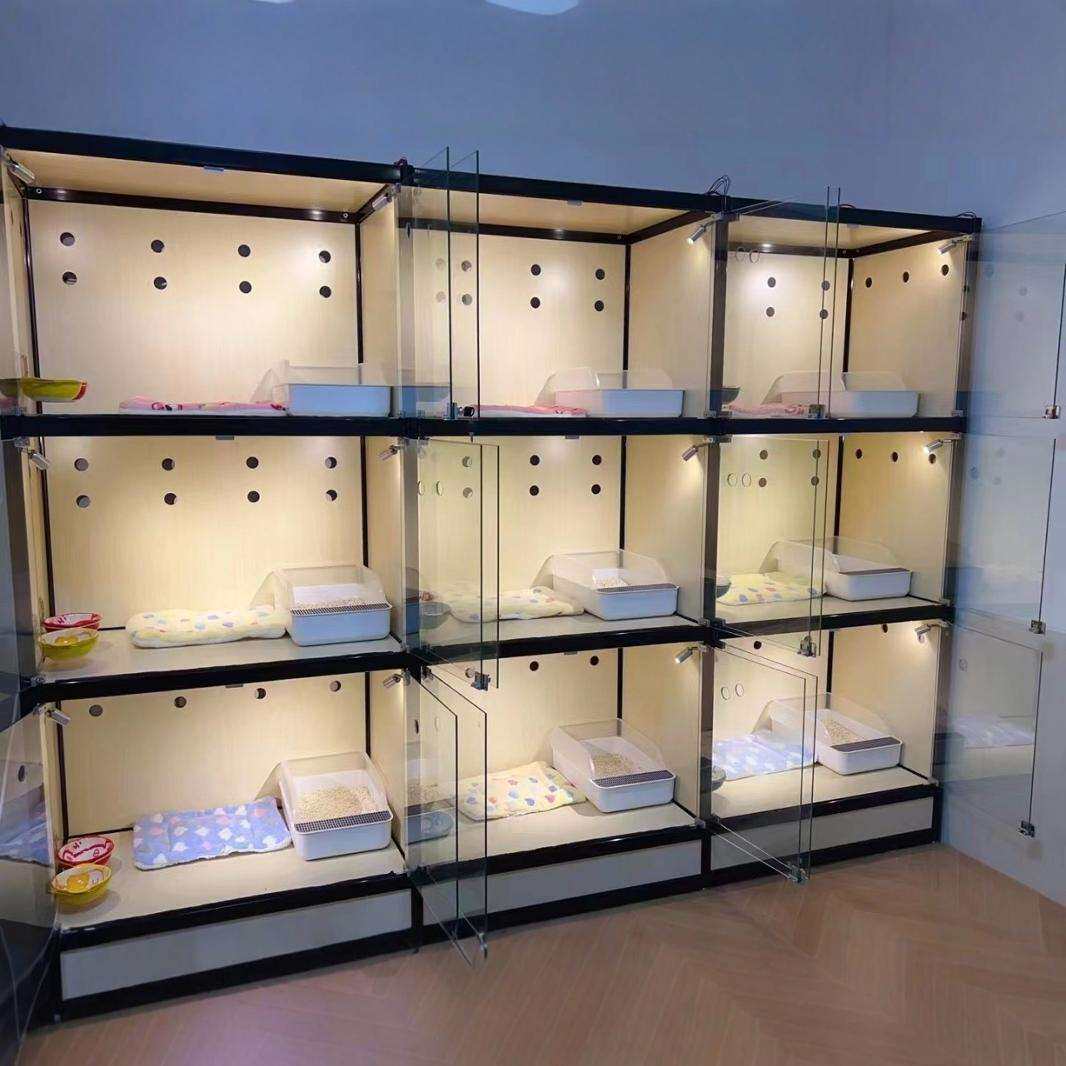 麓f宠物店展示柜玻璃透明展示柜猫咪寄养柜商用猫屋繁育柜动物全