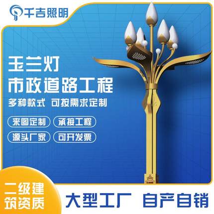 厂家直供户外市政工程道路照明8米LED中华灯景区广场主干道玉兰灯