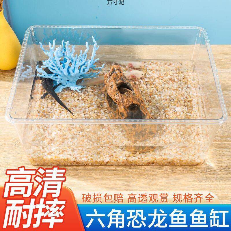 六角专用缸蝾螈饲养缸桌面鱼缸透明带盖蝾螈宠物鱼缸加厚塑料