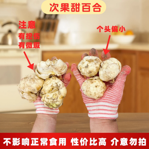 次果食用百合当季新货百合农家