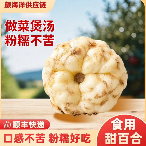2026新鲜百合高山甜百合口感粉糯不苦非宜兴百合