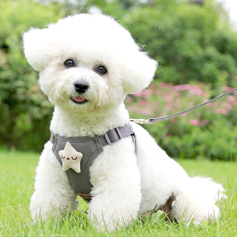 狗狗牵引绳背心式小型犬泰迪比熊博美遛狗绳小狗幼犬胸背带狗绳子