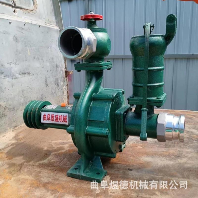 柴油机抽水泵工厂排水工矿除尘电机排污泵