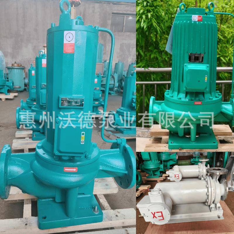 屏蔽电泵冷却循环水泵LVP125/400-37/4空调冷冻补水管道泵