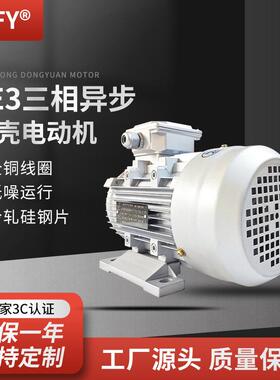 YE3系列三相电动机YE3-71M1/M2/M3-4极风机0.25W-0.75W电机