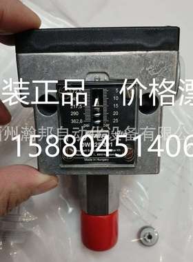 FEMA压力开关 DCM625 DNS06-201