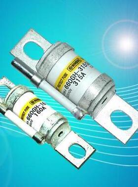750GH-40UL 750GH-50UL 750GH-63UL 750GH-75UL熔断器保险管HINOD