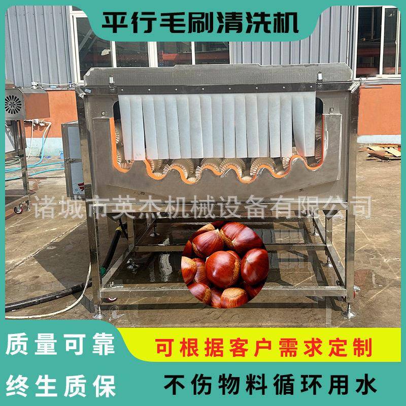 商用栗子平行毛辊机板栗平行毛辊清洗机压喷喷毛刷清洗清洗